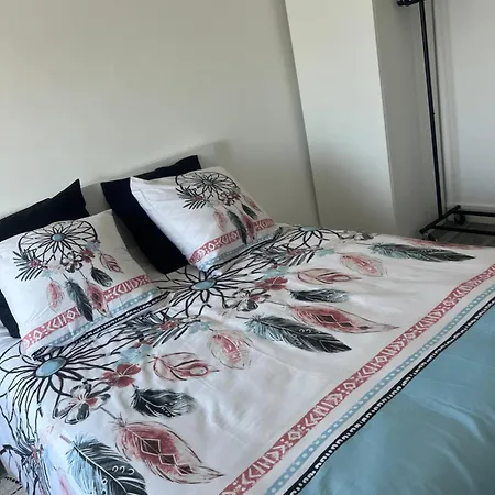 Calme Et Cosy Equipe Reims