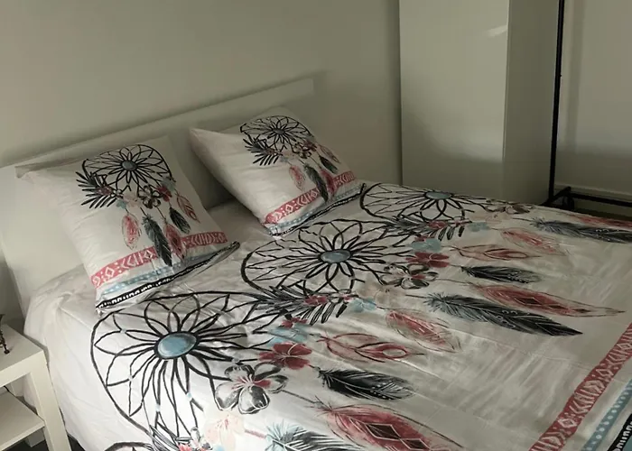 Calme Et Cosy Equipe Reims