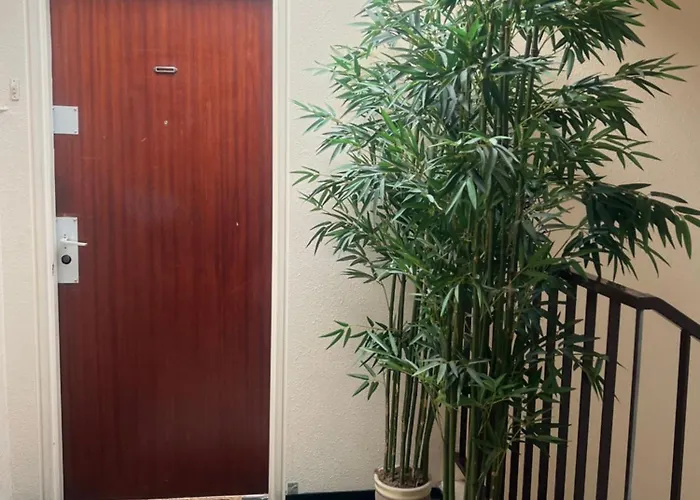 Calme Et Cosy Equipe Lägenhet