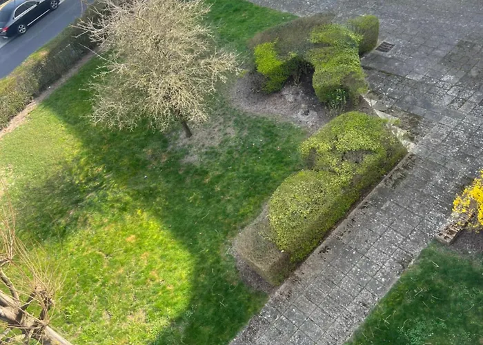 Calme Et Cosy Equipe *