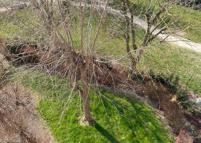 Calme Et Cosy Equipe *